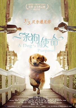 年轻母亲3：我的年龄怎么了