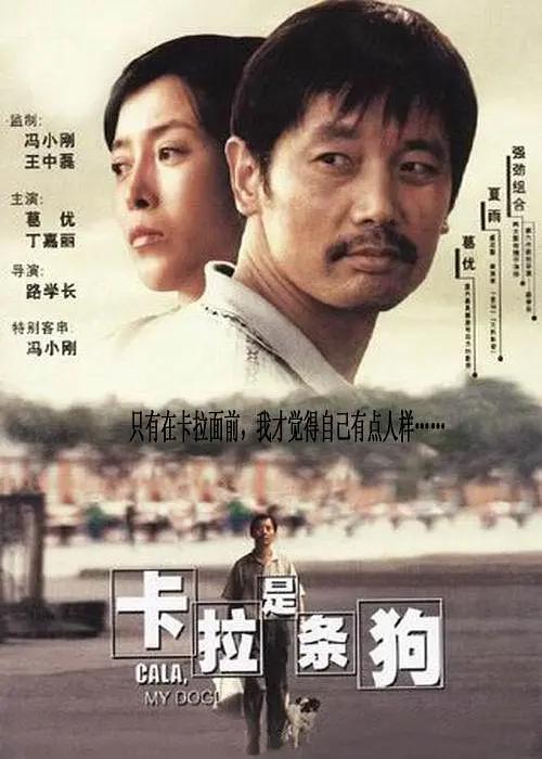 河北彩花在线播放