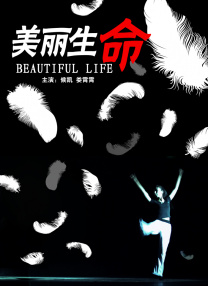 91精品国产91久久久久久青草