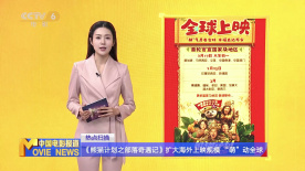 国产成a人亚洲精v品久久网